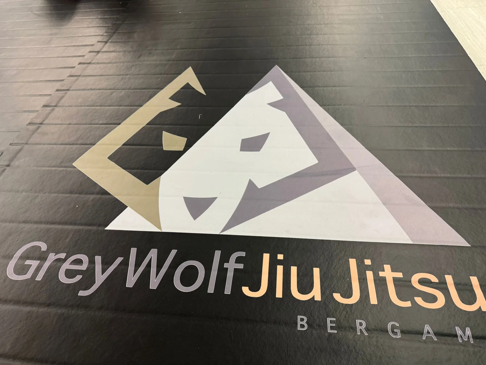 Tatami Grey Wolf